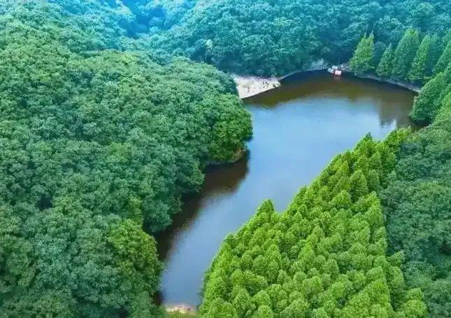 免票！河南近期熱門景區(qū)優(yōu)惠活動(dòng)匯總
