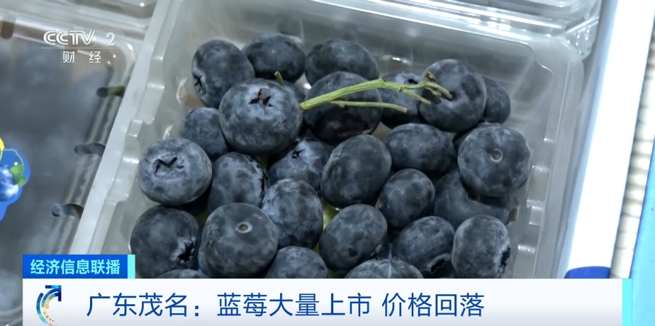 藍(lán)莓價(jià)格“腰斬”！每天吃一盒會(huì)發(fā)生什么？皮膚真的會(huì)變白嗎？