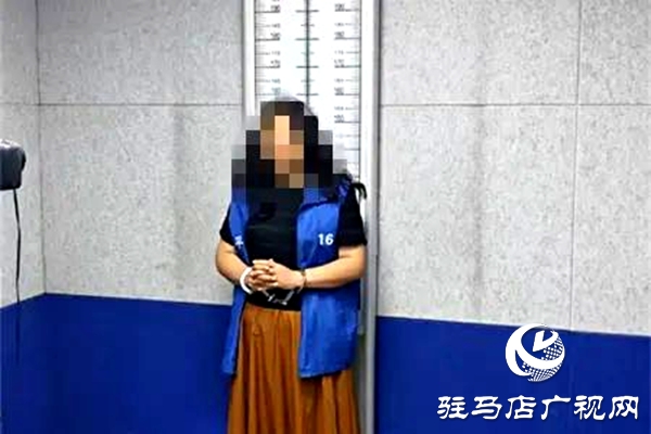 平輿縣人民法院：破曉而行，集中執(zhí)行持續(xù)“升溫”