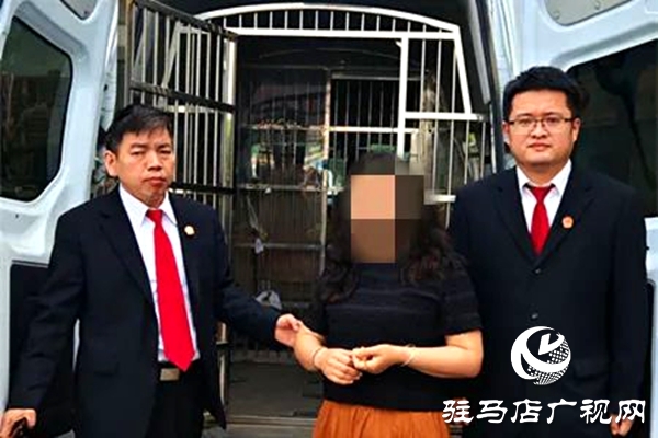 平輿縣人民法院：破曉而行，集中執(zhí)行持續(xù)“升溫”