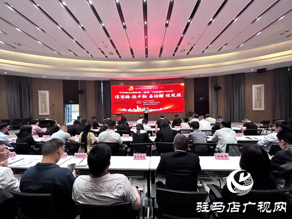 平輿縣開展2025年第一季度新時(shí)代文明實(shí)踐所（站）長黨建擂臺大比武活動