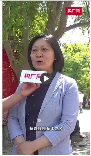 文創(chuàng)上新、線路豐富 河南省“五一”消費(fèi)市場(chǎng)熱力十足