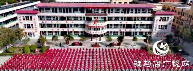 黨建引領(lǐng)培沃土 愛心澆灌育英才 ——泌陽中學(xué)“蝸牛教育”書寫育人新篇章  