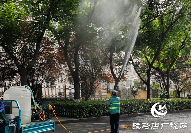 駐馬店經(jīng)濟(jì)開發(fā)區(qū)：開展蚜蟲專項(xiàng)防治 千棵行道樹“清蟲煥綠”