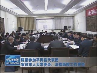 陳星參加平輿代表團審議市人大常委會、法檢兩院工作報